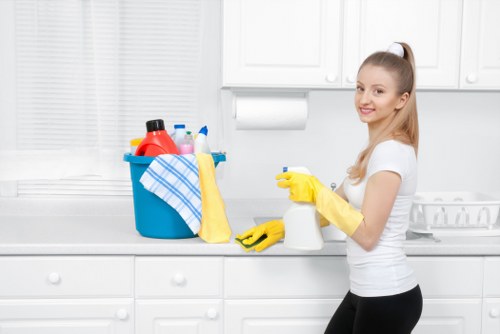 Professional cleaner maintaining a KT6 office space