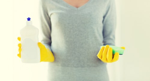 Domestic cleaner working in a KT6 apartment or family house