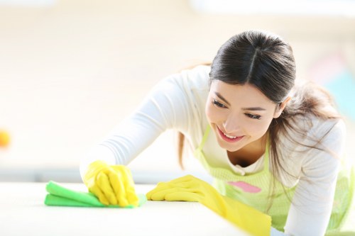 Window cleaning for conservatories and upper floors in KT6