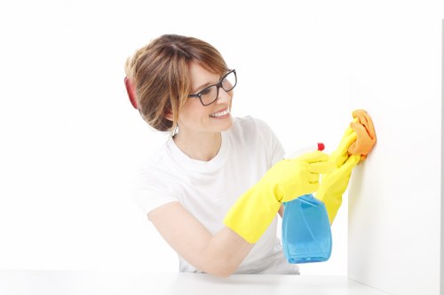Preparation checklist for home cleaning in KT6