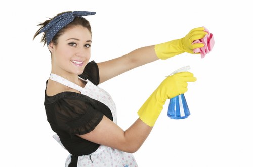 Oven cleaning service for KT6 households and small businesses