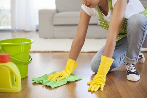 Local cleaning service for residents and landlords in KT6
